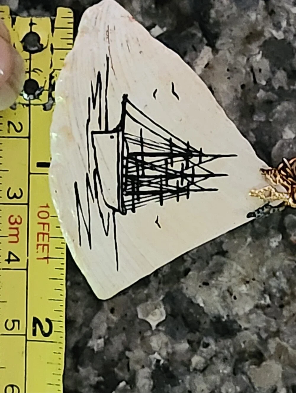 Handmade unique shell
